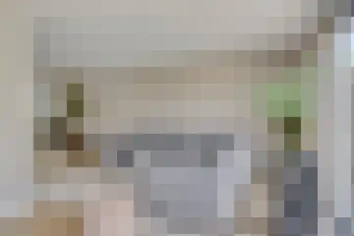 Scholtenhoeklaan 25 Oldenzaal thumbnail 5