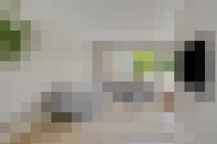 Scholtenhoeklaan 25 Oldenzaal thumbnail 6