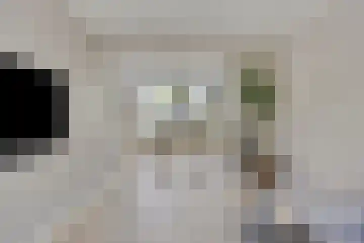Scholtenhoeklaan 25 Oldenzaal thumbnail 7