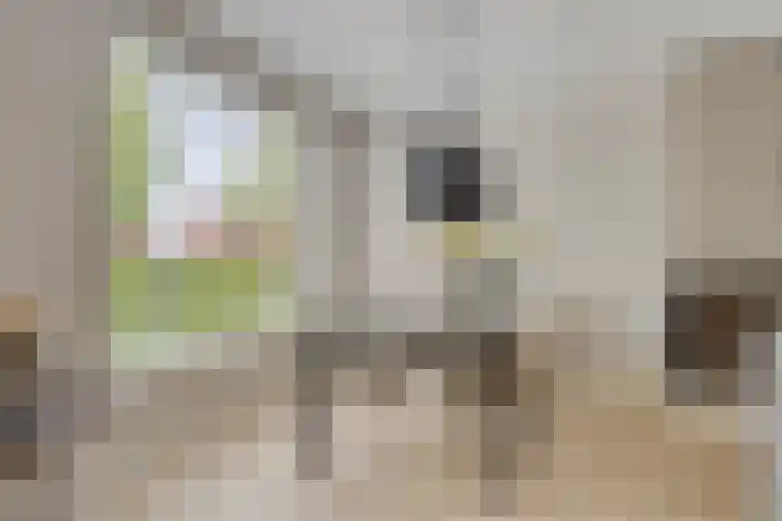 Scholtenhoeklaan 25 Oldenzaal thumbnail 9