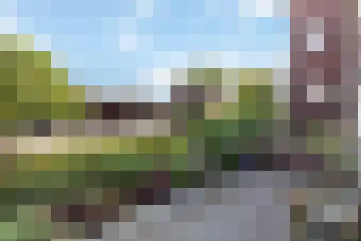 Scholtenhoeklaan 3 a Oldenzaal thumbnail 19