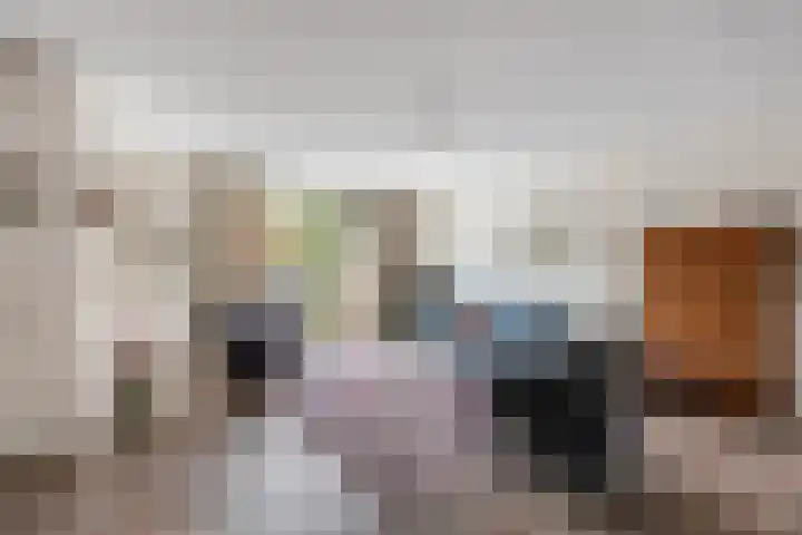 Scholtenhoeklaan 3 a Oldenzaal thumbnail 7