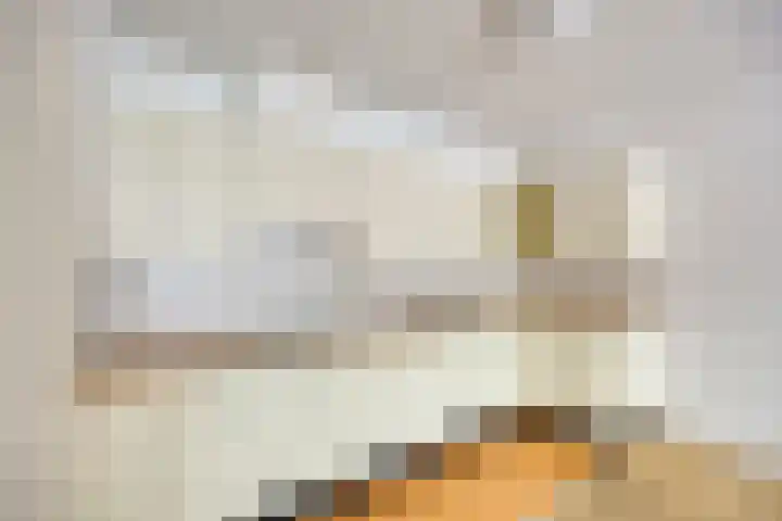 Scholtenlaan 15 Heemstede thumbnail 10
