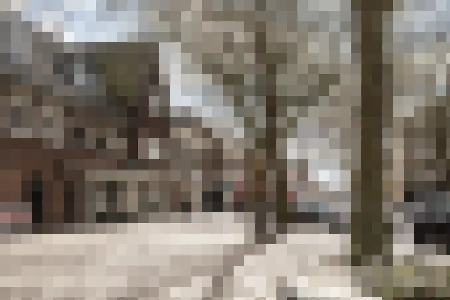 Scholtenlaan 154 Heemstede thumbnail 28