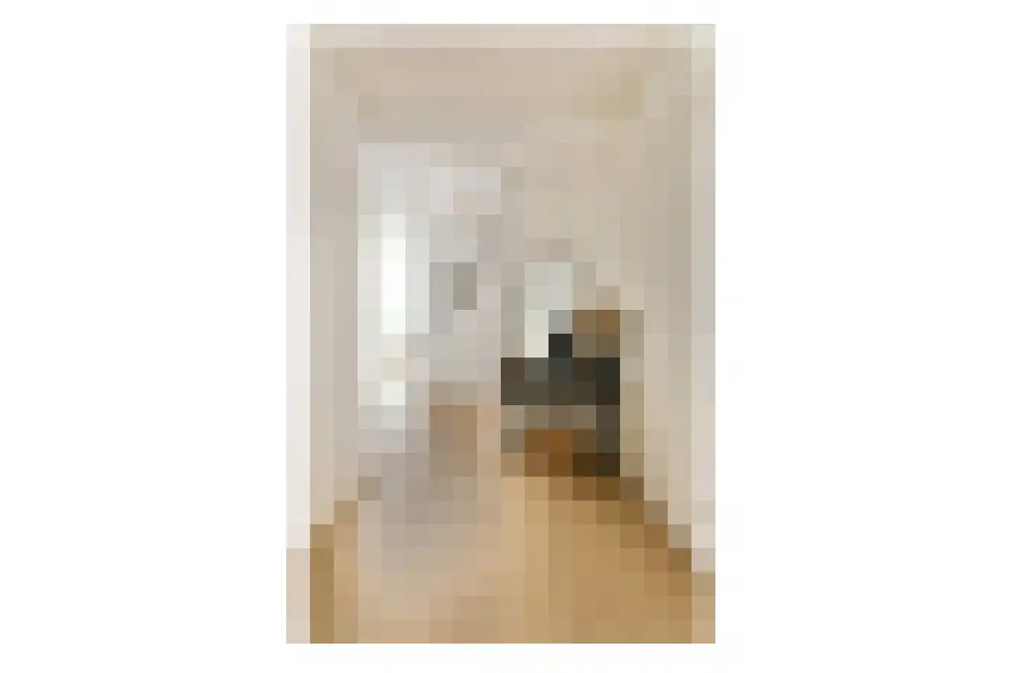Scholtenlaan 184 Heemstede thumbnail 23