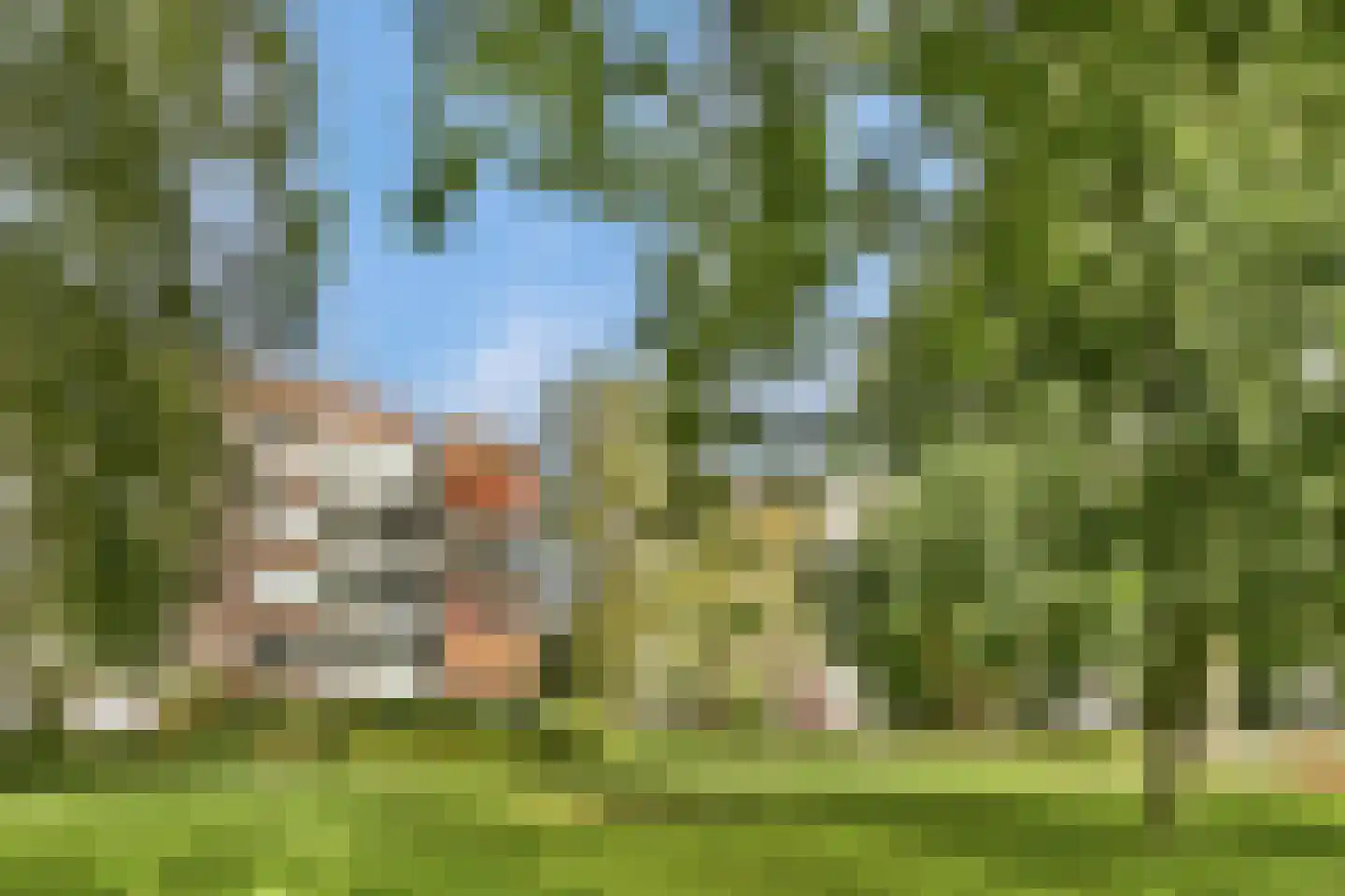 Scholtenlaan 184 Heemstede thumbnail 25