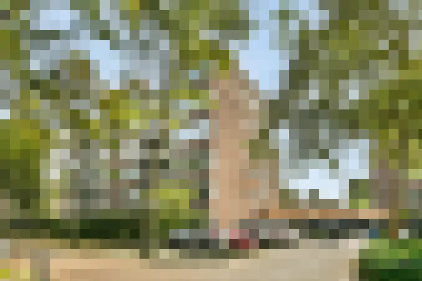 Scholtenlaan 184 Heemstede thumbnail 26