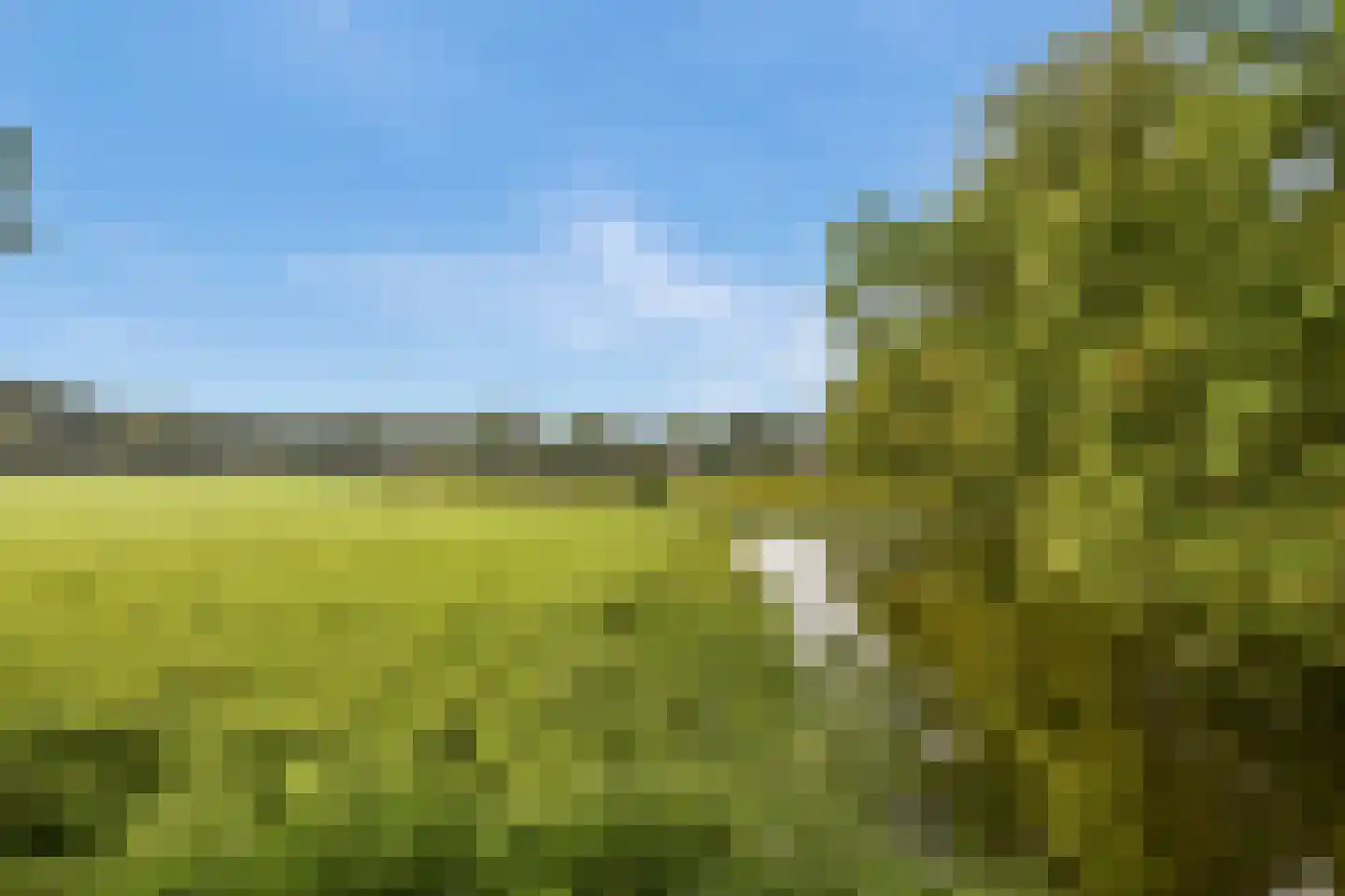 Scholtenlaan 184 Heemstede thumbnail 28
