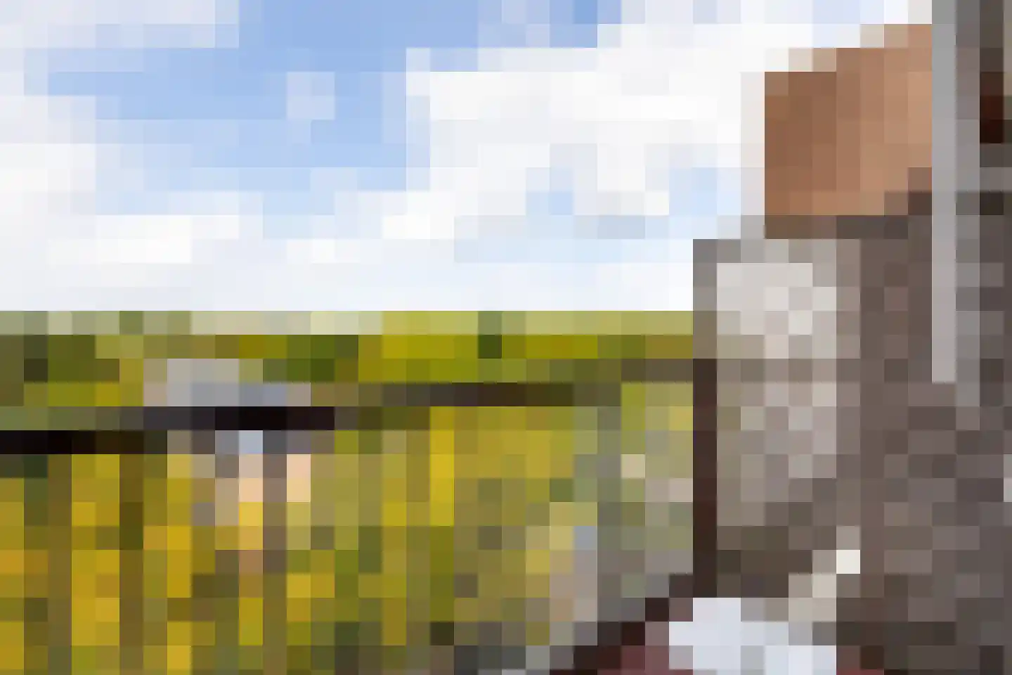 Scholtenlaan 202 Heemstede thumbnail 16