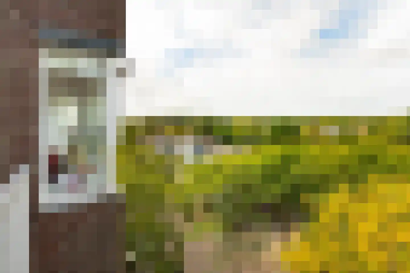 Scholtenlaan 202 Heemstede thumbnail 17