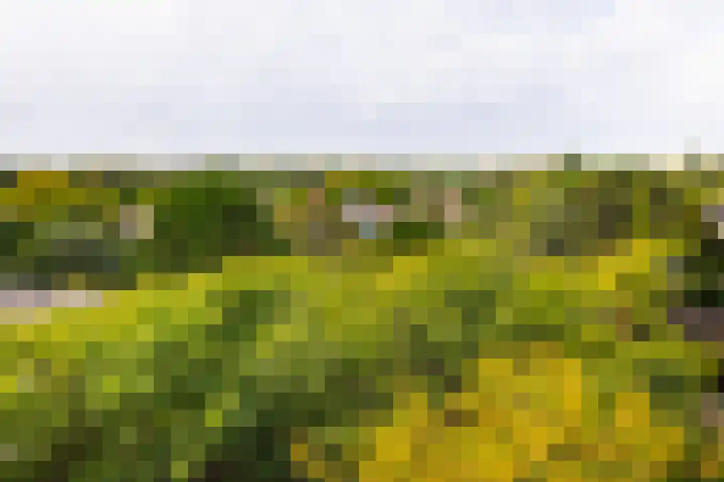 Scholtenlaan 202 Heemstede thumbnail 18