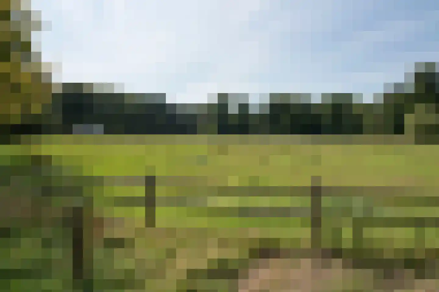 Scholtenlaan 202 Heemstede thumbnail 25