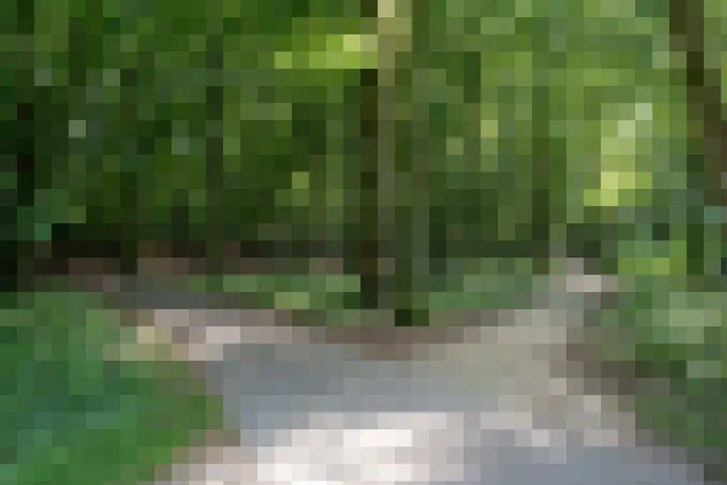 Scholtenlaan 202 Heemstede thumbnail 26