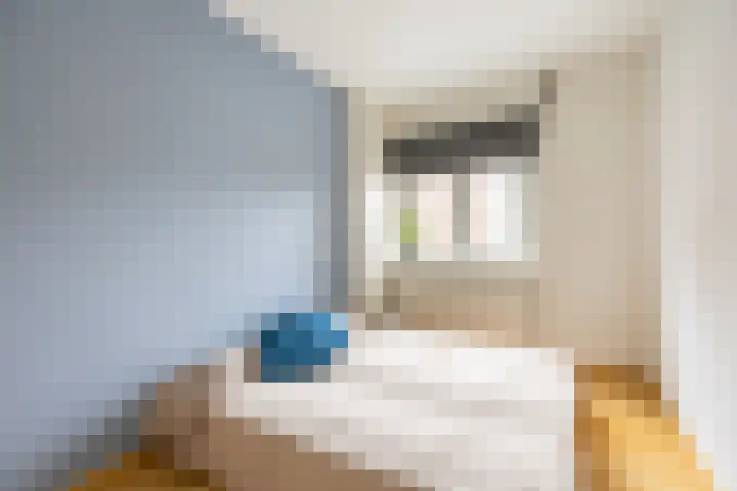 Scholtenlaan 40 Heemstede thumbnail 17