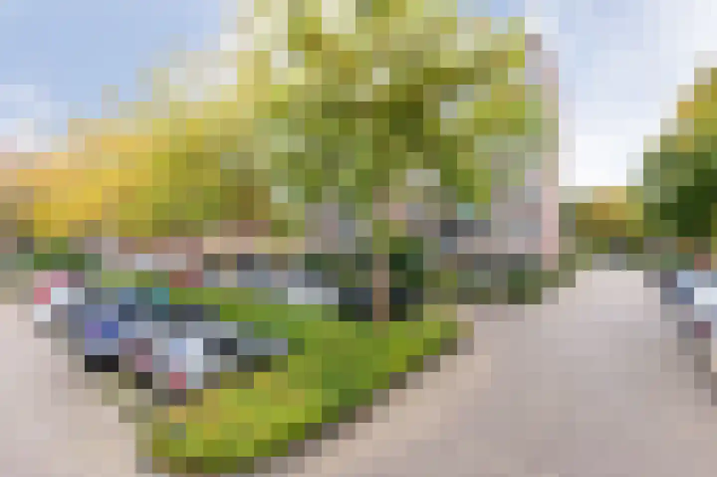 Scholtenlaan 40 Heemstede thumbnail 22