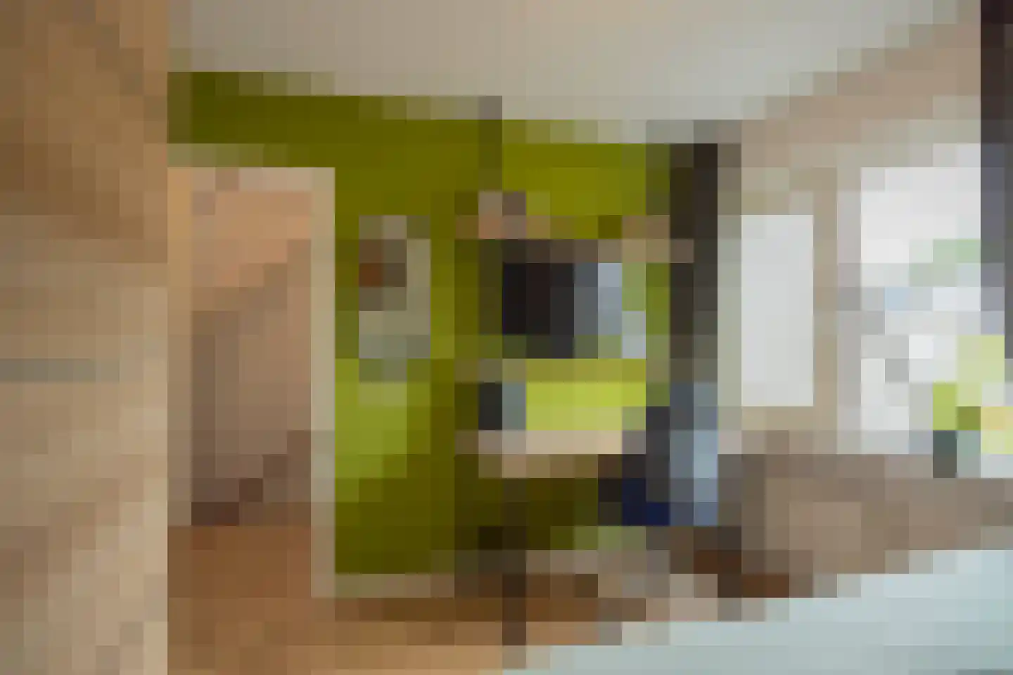 Scholtensbos 12 Hoofddorp thumbnail 22