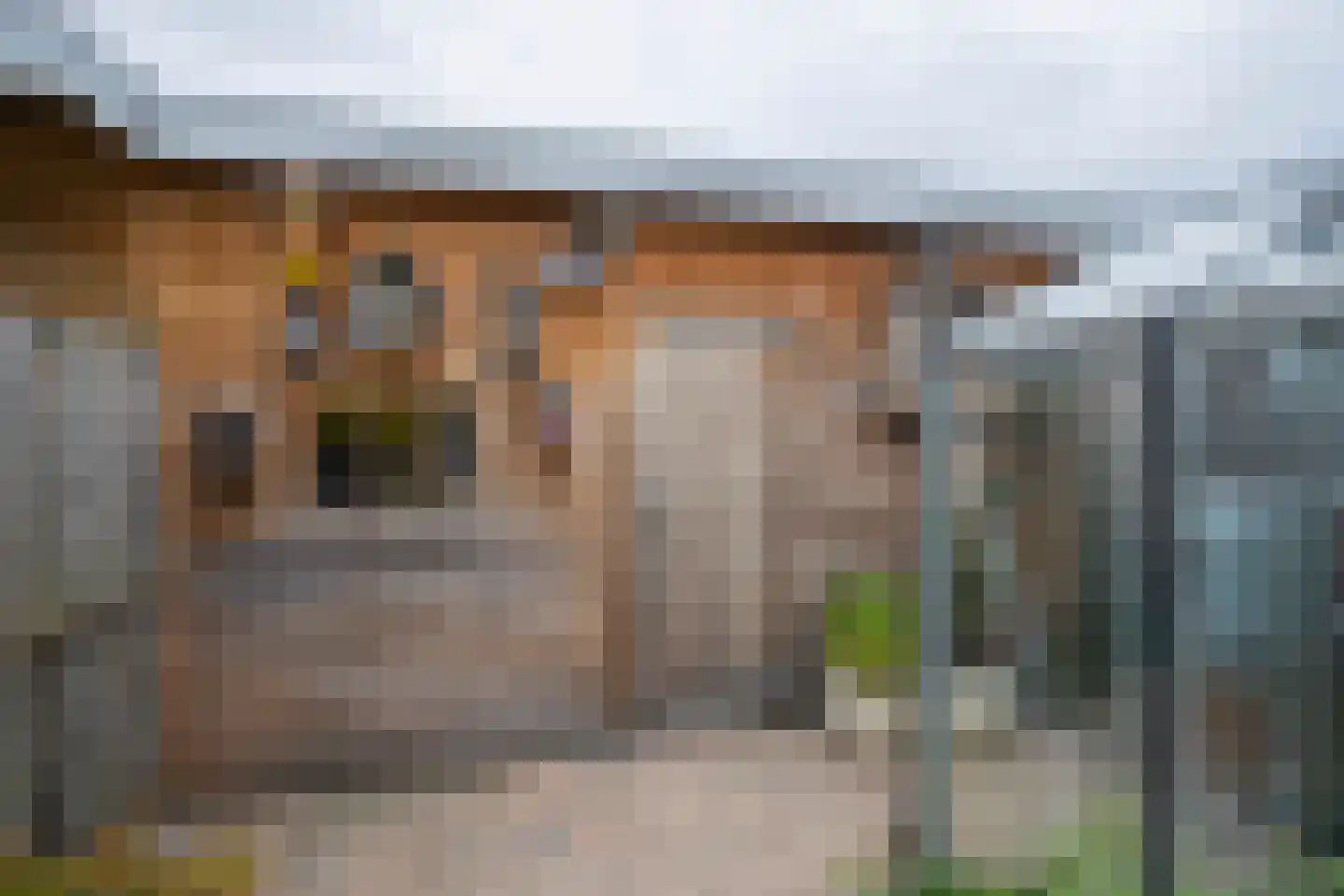 Scholtensbos 12 Hoofddorp thumbnail 34