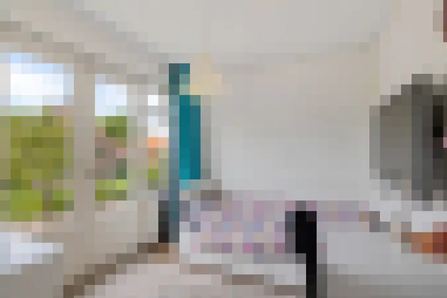 Scholtensdijk 36 Hardenberg thumbnail 23
