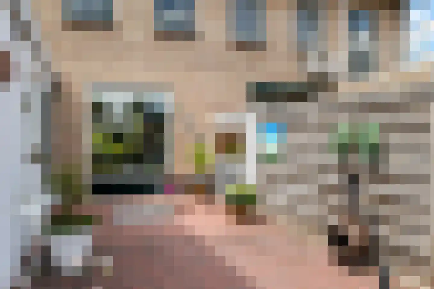 Scholtensdijk 36 Hardenberg thumbnail 34