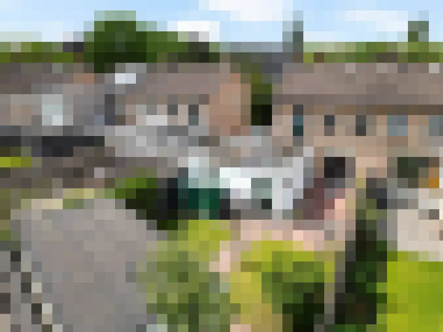 Scholtensdijk 36 Hardenberg thumbnail 5