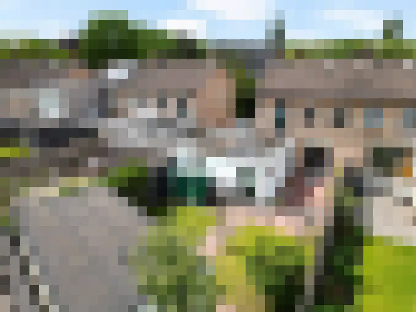Scholtensdijk 36 Hardenberg thumbnail 5