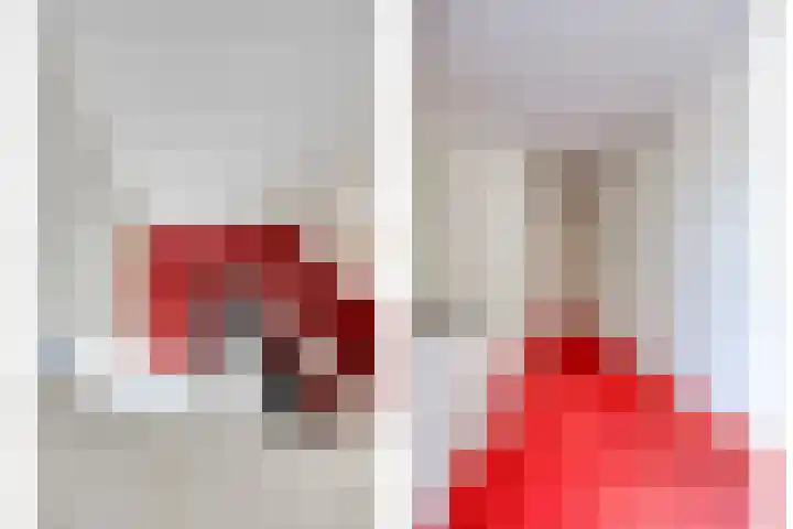 Scholtensdijk 4 Hardenberg thumbnail 20
