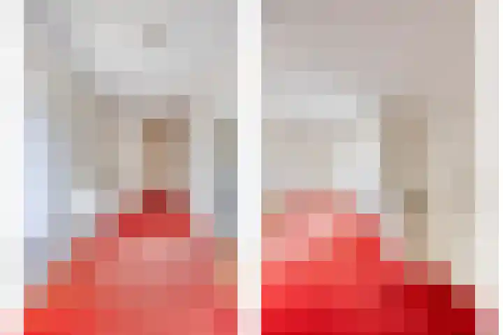 Scholtensdijk 4 Hardenberg thumbnail 21