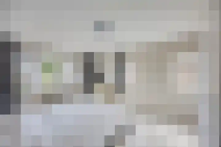 Scholtensdijk 4 Hardenberg thumbnail 22