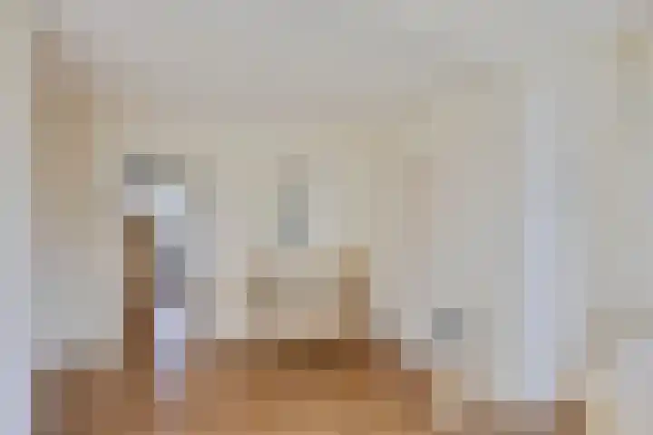 Scholtensdijk 4 Hardenberg thumbnail 24