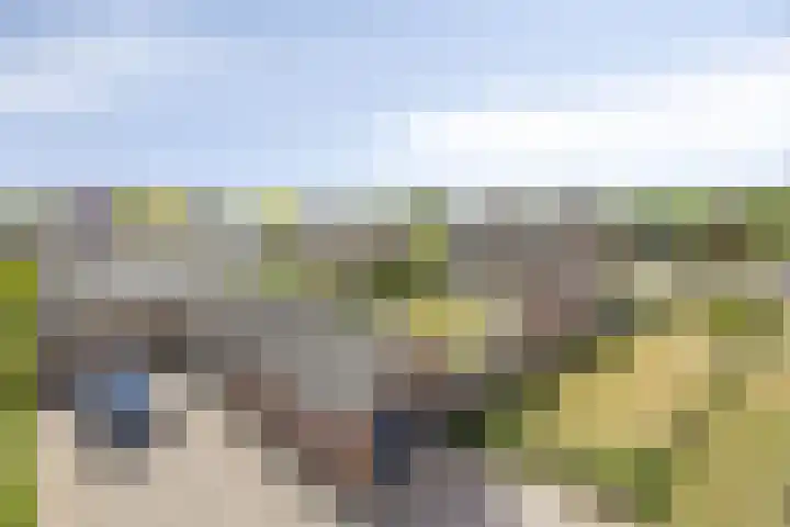 Scholtensdijk 4 Hardenberg thumbnail 31
