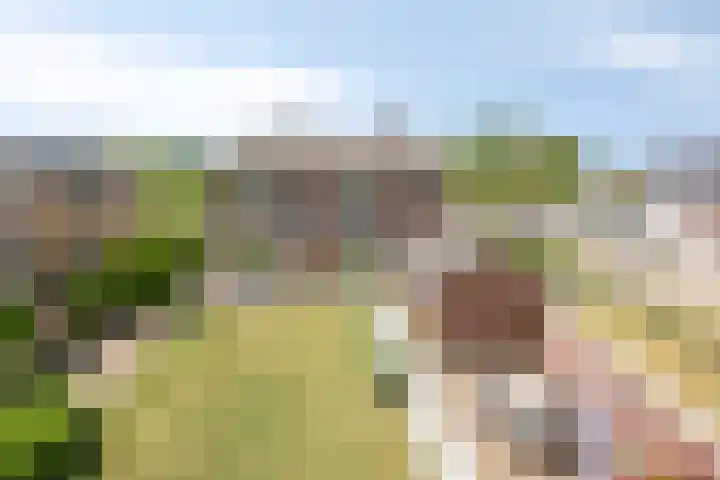 Scholtensdijk 4 Hardenberg thumbnail 32
