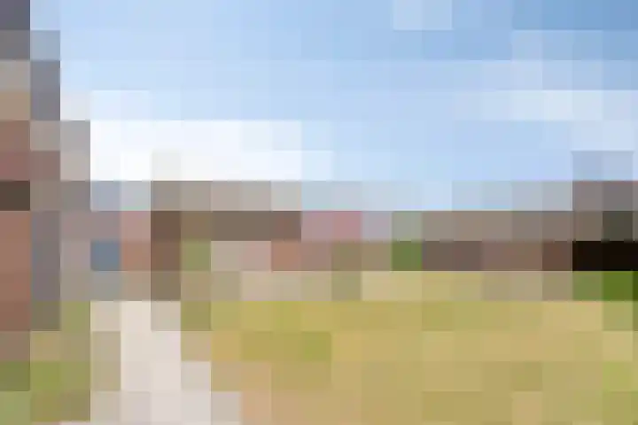 Scholtensdijk 4 Hardenberg thumbnail 34