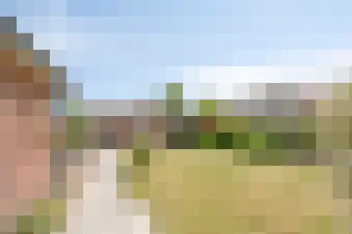 Scholtensdijk 4 Hardenberg thumbnail 35