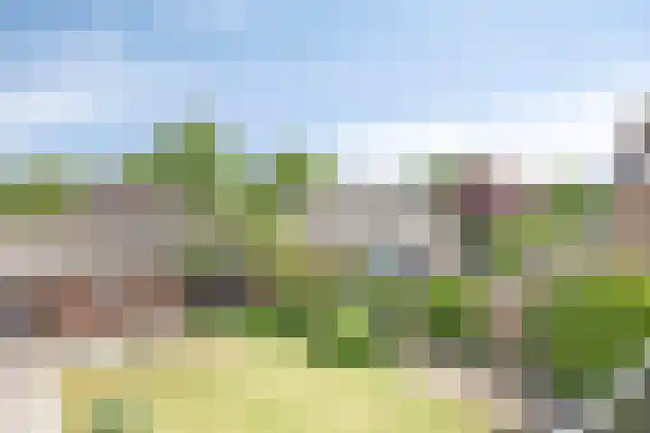 Scholtensdijk 4 Hardenberg thumbnail 38