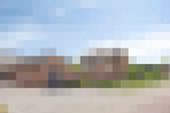 Scholtensdijk 4 Hardenberg thumbnail 39