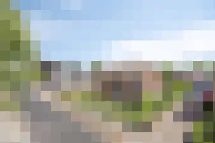 Scholtensdijk 4 Hardenberg thumbnail 40