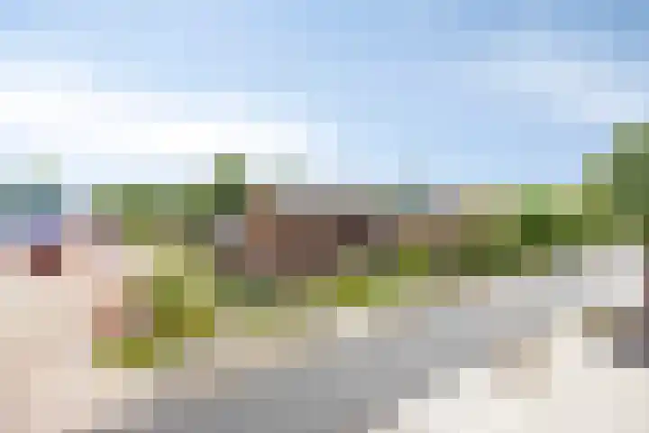 Scholtensdijk 4 Hardenberg thumbnail 41