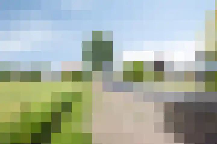 Scholtensdijk 4 Hardenberg thumbnail 42