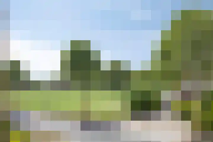 Scholtensdijk 4 Hardenberg thumbnail 43