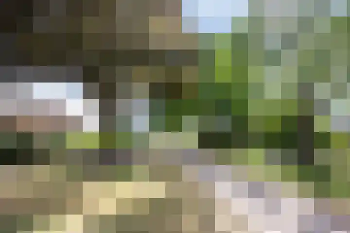 Scholtensdijk 4 Hardenberg thumbnail 45