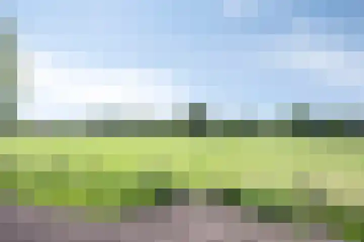 Scholtensdijk 4 Hardenberg thumbnail 46