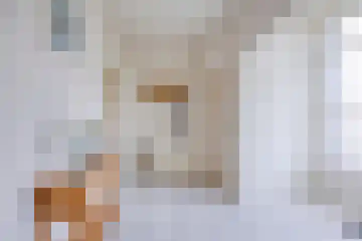 Scholtensdijk 4 Hardenberg thumbnail 5