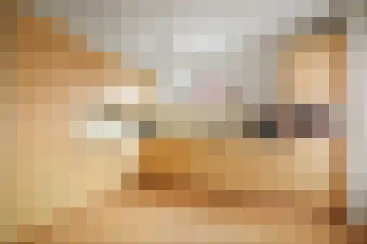 Scholtenshoek 4 Twello thumbnail 14