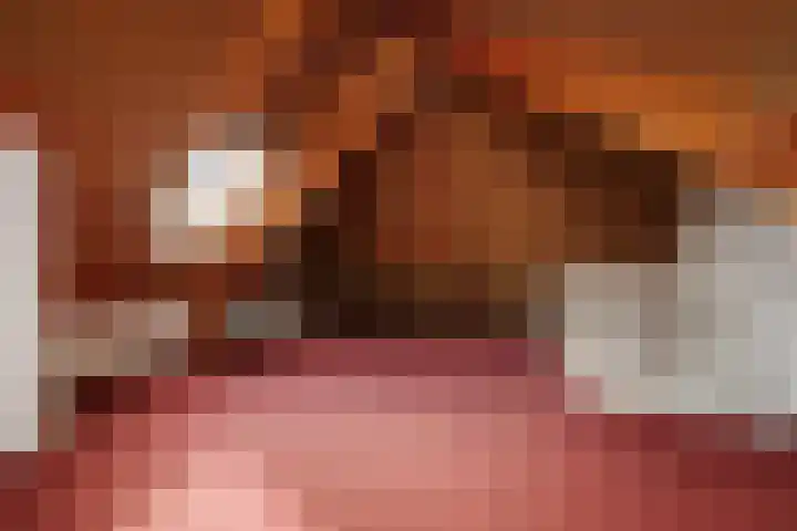 Scholtenshoek 4 Twello thumbnail 25