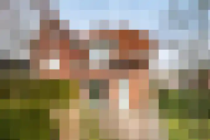 Scholtenshoek 4 Twello thumbnail 27