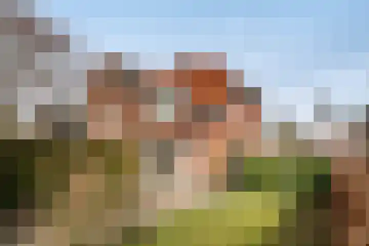 Scholtenshoek 4 Twello thumbnail 28