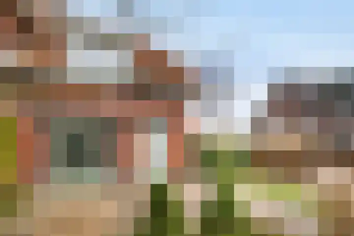 Scholtenshoek 4 Twello thumbnail 29