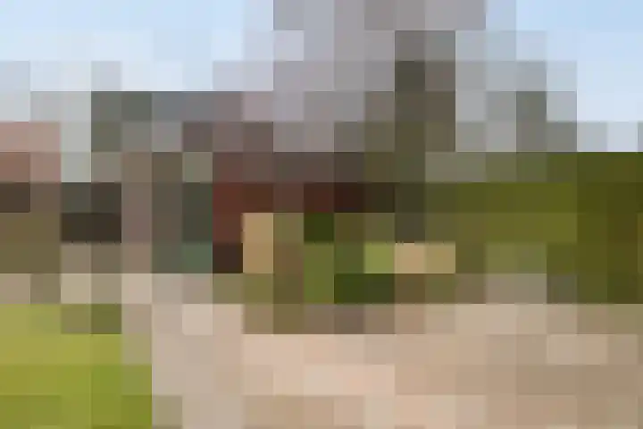Scholtenshoek 4 Twello thumbnail 30