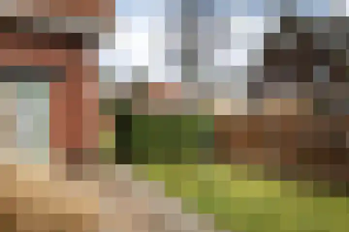 Scholtenshoek 4 Twello thumbnail 31