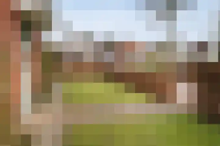 Scholtenshoek 4 Twello thumbnail 32